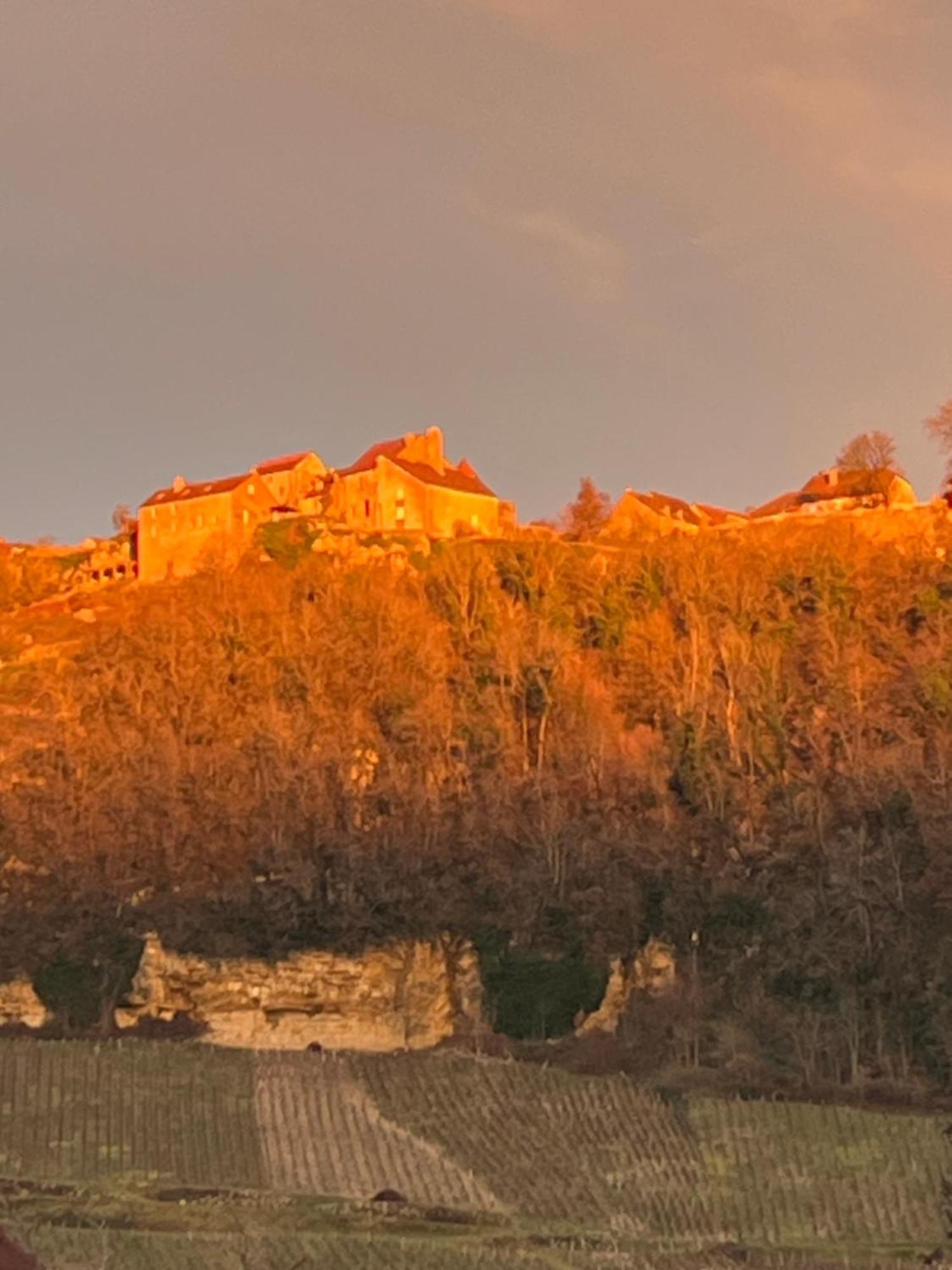 Gite Le Magnolia Voiteur Zewnętrze zdjęcie